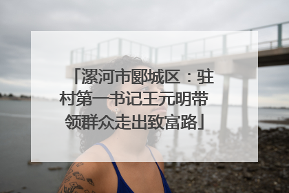 漯河市郾城区：驻村第一书记王元明带领群众走出致富路